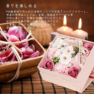 \[vt[ ̓ Mtg v[g {bNXɃJ[l[Vƃol߂ V{t[  a LO zCgf[ Ǝ hV̓ sN