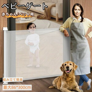 xr[Q[g [ Z[teB[Q[g [ő300cm] Ki oAt[ Ch 莮 Ԃ Nh~ L bVf iȂ ΂ߐݒu\ ybgpi L  Q[g E