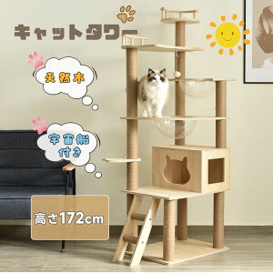 Lbg^[ u ؐ VR FDt L^[ 172CM Ki @\ ܂Ƃ  芴Q  ȃXy[X LnEX Lbg|[  || Lp