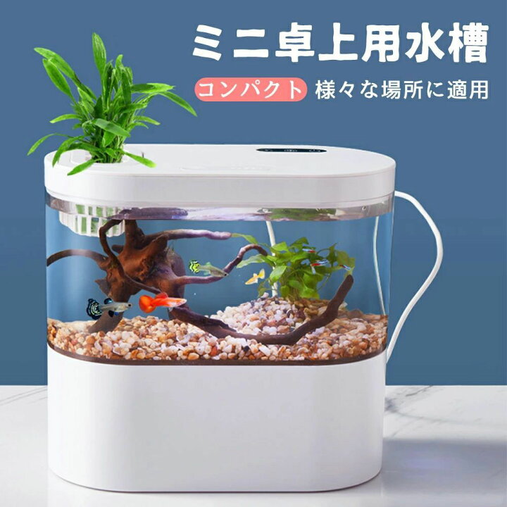 楽天市場】LEDライトフィルターポンプ付き水槽セットアクアリウム 