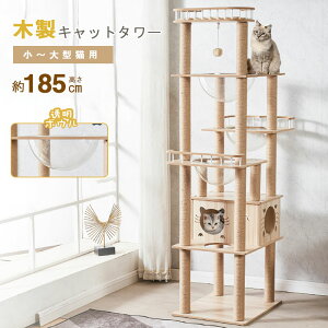 Lbg^[ L^[ ^Lp  v u X ˂ lR R ܂Ƃ|[ L̂ || ]|h~xgt W] Lxbh ^s 185cm