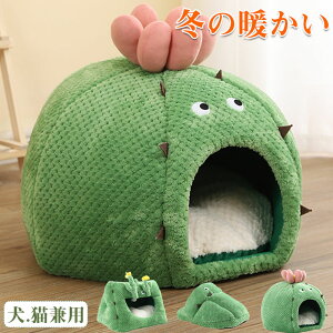 ^LpL^~{AybgnEXLlR˂ ybgxbhCkʎphbgybgxbhybgnEX ӂӂ NbVt lRxbh h[xbh