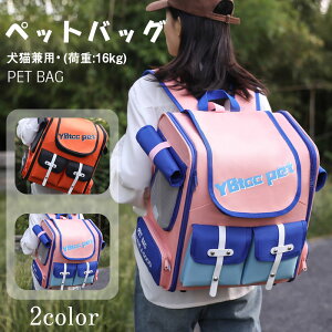 ybgbN g ybgL[ ybgL[bN ybgL[obO ybgobO ybg L[ bN obO L   ˂ Ck lR obN s a@ ʉ@ 