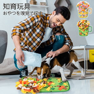 ybg   k NbV 傫  C炵@H_@̗͏Ձ@mXgX@U@X[t[hP@a ߋ mgC XgX ^s m[Y[N 