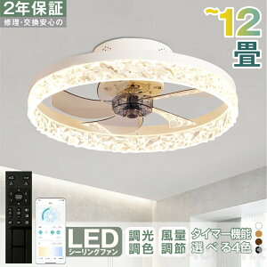 V[Ot@ V[Ot@Cg 50CM LED T[L[^[ V[OCg Px 8 10  F ʒ߉ 铔 t@t Cz Ɩ VƖ ȃGl ߓd 