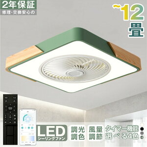 V[Ot@ 52cmV[Ot@Cg VR LED T[L[^[ V[OCg Px 8 10  F ʒ߉ 铔 t@t Cz Ɩ VƖ ȃGl 