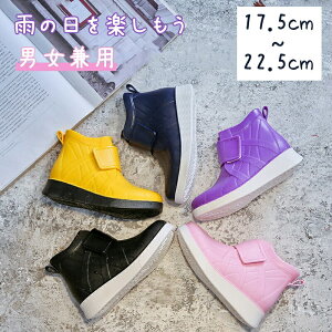 Cu[c LbY  CV[Y ̎q j̎q CV[Y V[g JC CV[Y ~ ~J w q J  ʉ ʊw h AEghA Vv n