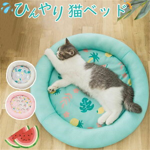 L xbh ėp Ђ yS3Fz ڐG⊴ ybgp  ی` h ې􂢉 ʋCQ NbV u\