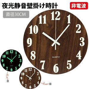LEDǊ|v |v dg  É ؖ ₷ Ǌ|v ~u Vv CeA _ 蕨 a30cm \
