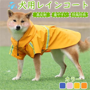 y2024Vi ~J΍􁚁z CR[g@ ^ ^ pCR[g ̕@ hbOEFA J    JH h ~J  |` AEghA }WbNe[v 