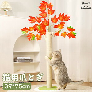 LpXNb`{[h Lbg^[ L^[ LbgNC~O LpnbN LpƋ LpNC~Ot[ ybgANZT[ p Lpxbh LpNC~Ot[