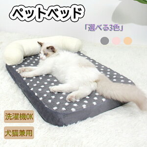 y1z xbh ybgxbh ^ t }bg pxbh }bg􂦂 ɗD ϖՐ ~ pxbh OJo[  q L 