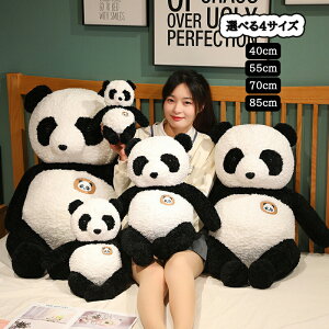 p_ ʂ  ӂӂ v[g p_ʂ 傫   NbV YQ @\  ʂ  _炩 w