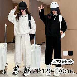 W[W㉺ ZbgAbv ̎q q 2_Zbg LbY ؍  p[J[ g[i[ gbvX  pc X|[cEFA JWA i ʊw tH m 