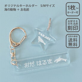 楽天市場 セイウチ キッズ ベビー マタニティ の通販 楽天市場 セイウチ キッズ ベビー マタニティ の通販