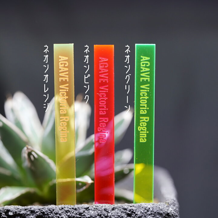 楽天市場 オリジナル蛍光プランツタグ 植物ネームプレート 園芸ラベル ガーデニングラベル 植物タグ 蛍光 アガベ パキポディウム ユーフォルビア サボテン エケベリア ハオルチア 多肉植物 塊根植物 Shop Bl Company
