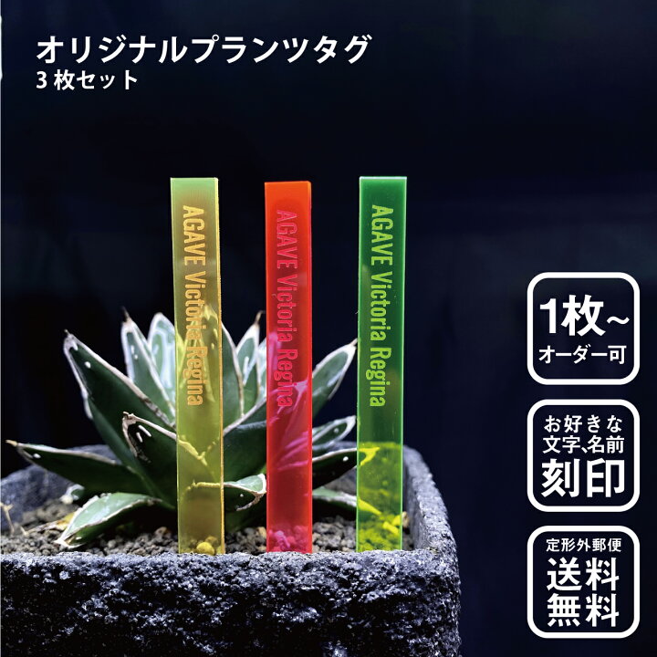 楽天市場 オリジナル蛍光プランツタグ 3枚セット 植物ネームプレート 園芸ラベル ガーデニングラベル 植物タグ 蛍光 アガベ パキポディウム ユーフォルビア サボテン エケベリア ハオルチア 多肉植物 塊根植物 Shop Bl Company