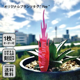 オリジナル蛍光プランツタグ　植物ネームプレート　園芸ラベル　ガーデニングラベル　植物タグ　蛍光 アガベ　パキポディウム　ユーフォルビア　サボテン　エケベリア　ハオルチア　多肉植物　塊根植物　イナズマ　ギザギザ