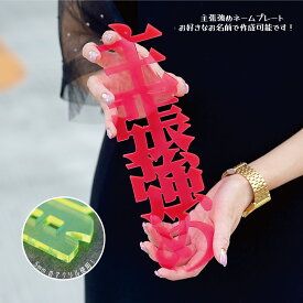 主張強めサイズ！【 漢字 ひらがな カタカナ 】 お名前 プレート 飾り 推し 推し活グッズ SNS インスタ