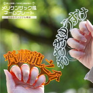 【 日本語 】お名前 メリケンサック アクリクメリケン ネームプレート 推し活 推しカラー メンカラ 推し…