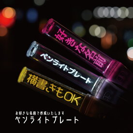 ペンライトプレート DAISO FAN!FAN!BLADE 8色 15色 切り替え 発光 LED ストレートスティック 名前プレート 刻印 名入れ オリジナル ライブ コンサート 現場