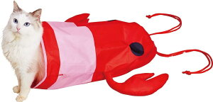 �y�e�B�I �L�p�������� �G�r�̂Ȃ肫��V���J�V���J�ʂ�ʂ���