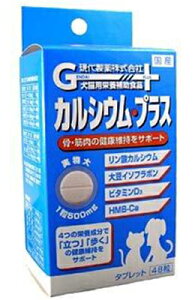 󂠂 㐻 Lp JVEEvX 48 ܖF2026N2