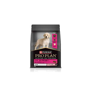 vv S qp 畆ƈݒ̌NPA T[ 800g