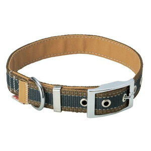 lR|X։\ 󂠂 yeBI x[VbNvX gjeBJ[ S O[