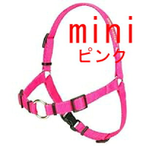 󂠂 }~ \t^b`RZvc mini sN