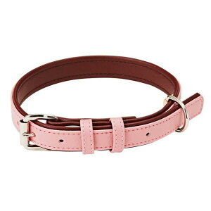 yeBI \teBU[J[ pXe L sN   Ck ^  킢 