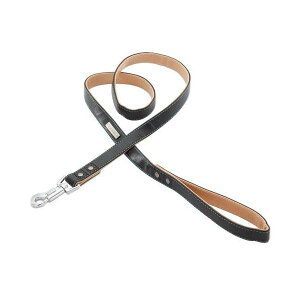 yeBI (Petio) V} U[h[h ubN ^p L TCY   Ck 