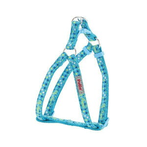 yeBI (Petio) LfBx JtX^[n[lX u[ ^p S TCY   Ck