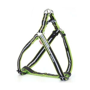 󂠂 yeBI X}[gCn[lX L ^ ubN   Ck P AEgbg ybg