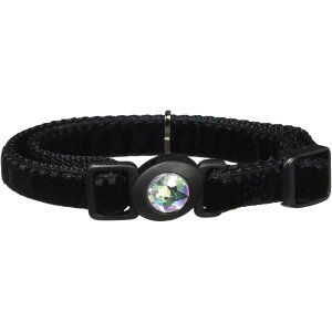 lR|X։\ A[Xybg ˂e xA_CJ[ 