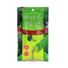 ドギーマン かける野菜 ブロッコリー 14g×4本 賞味期限：2024年8月