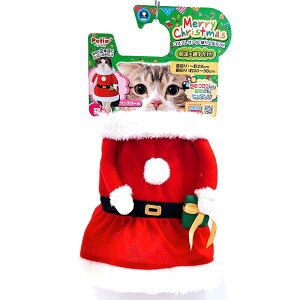 lR|X։\ yeBI Lp T^ NX}X RXv ~