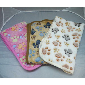 ՂuPbg N ѕz ݂̂̈玙 L ˂ lR