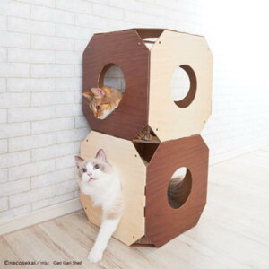 GCNGCc KKVFt CeA / _uE×~x[W 2 L ˂ lR