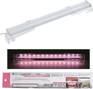  CgAbv SLIM i` 300 zCg 30`40cmp