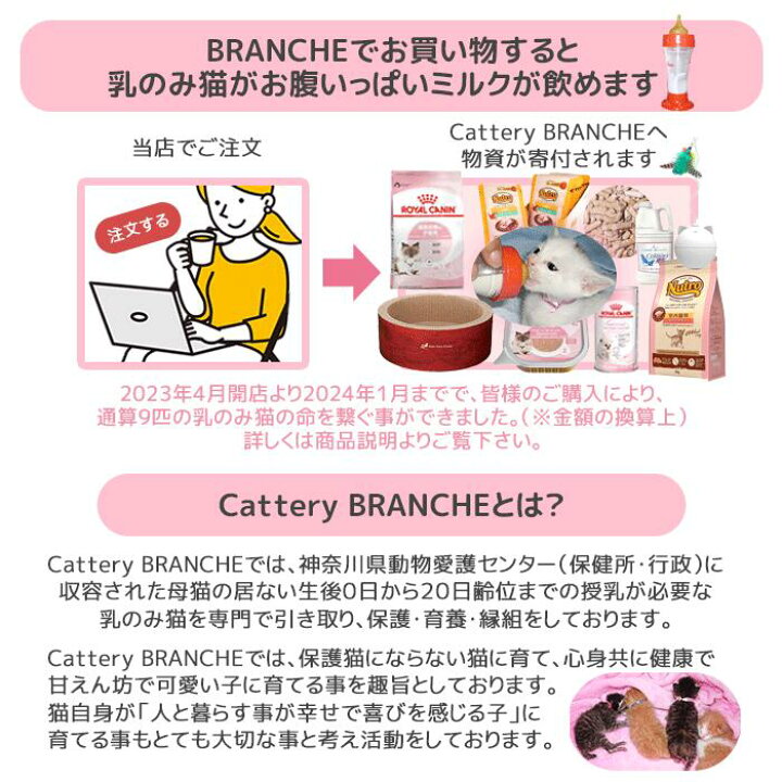 楽天市場】リッチェル キャットスイートルーム S ダークブラウン 