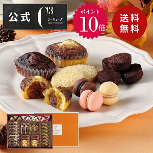 y|Cg10{zΕ NX}X Ε 2025 v[g َq lߍ킹 Mtg  XC[c mَq j Ԃ   G yGߌzCASTF-50 eB~XEt@