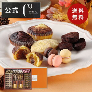 Ε NX}X Ε 2025 v[g َq lߍ킹 Mtg  XC[c mَq j Ԃ   G yGߌzCASTF-50 eB~XEt@^WX^L 