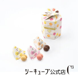 サクッチ・ホロッチ 6個入り【シーキューブ-C3-】 食感サクッ、口どけホロッのチョコサンドクッキー 贈り物 お菓子 焼菓子 詰め合わせ おしゃれ ギフト お取り寄せ 手土産 高級 プチギフト 内祝い 洋菓子 退職 お返し かわいい