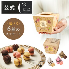お中元 2025 お菓子 お返し 内祝い 帰省 プレゼント ギフト 可愛い スイーツ 洋菓子 お祝い お礼 個包装 プチギフト 退職 お配り おしゃれ クッキー季節限定 CSC-6R サクッチ・ホロッチ 6個入 ※お届けは8/31まで