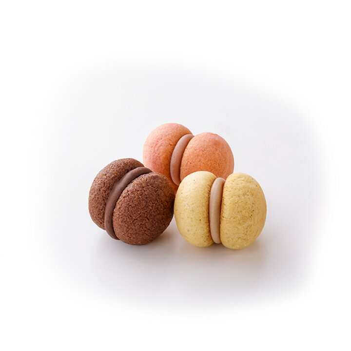 2540円 訳あり商品 シーキューブ サクッチ ホロッチ 24個入 スイーツ チョコレート お取り寄せ お菓子 2540円 訳あり商品 シーキューブ サクッチ ホロッチ 24個入 スイーツ チョコレート お取り寄せ お菓子