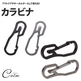 ステンレス製 カラビナ キーホルダー 鍵 ミリタリー 軽量 アウトドア メンズ 耐荷重25Kg