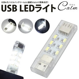 LED ライト 12灯 USB 両面発光 連結接続 コンパクト USB給電 小型 軽量 簡単点灯 携帯 非常時