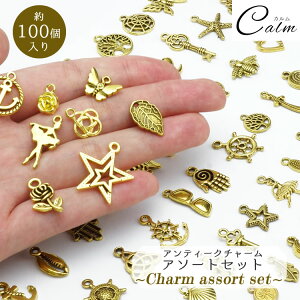 `[ A\[g 100 p[c S[h AeB[N ANZT[ nhCh lߍ킹 Jt RlNg J ~bNX ANZT[ W Ô  Ntg