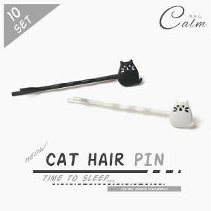 10Zbg L̃wAs L L Vv 킢 wAANZT[ y